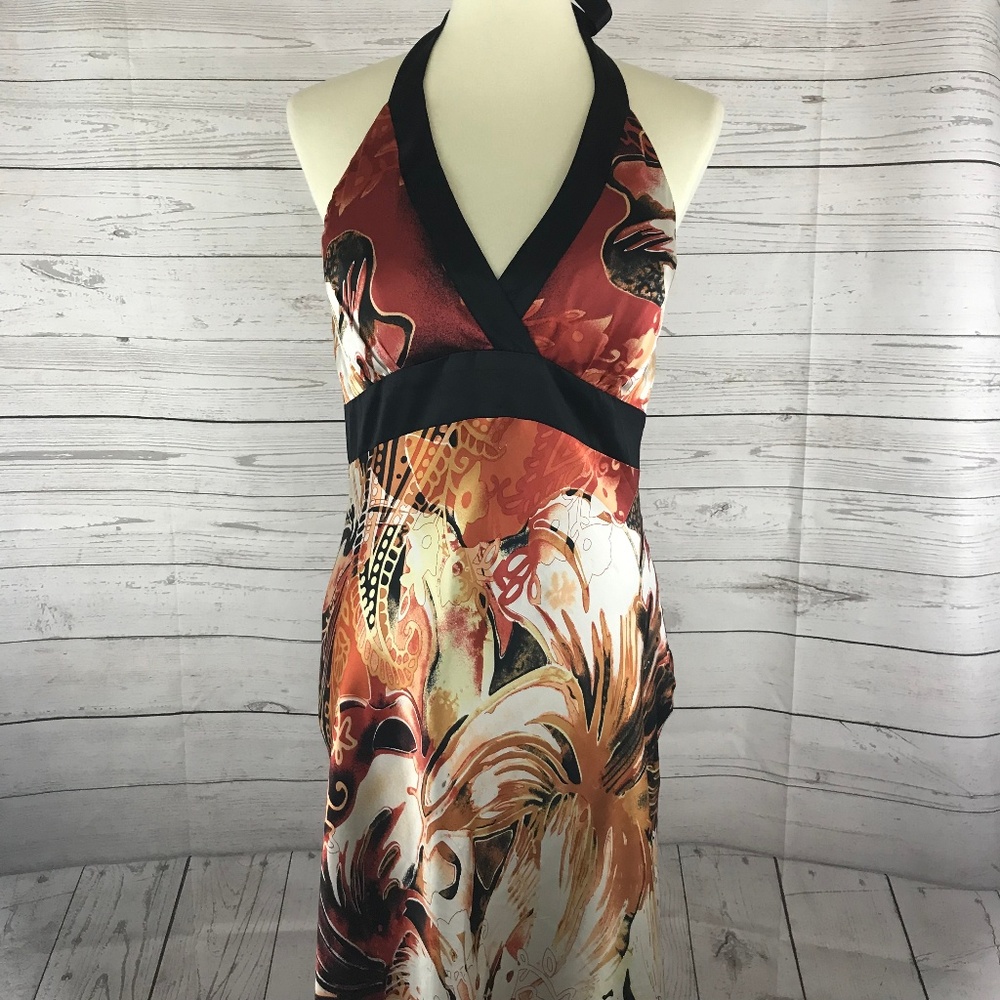 Cache Womens Dress Size 8 Tie Neck Side Zip Silk